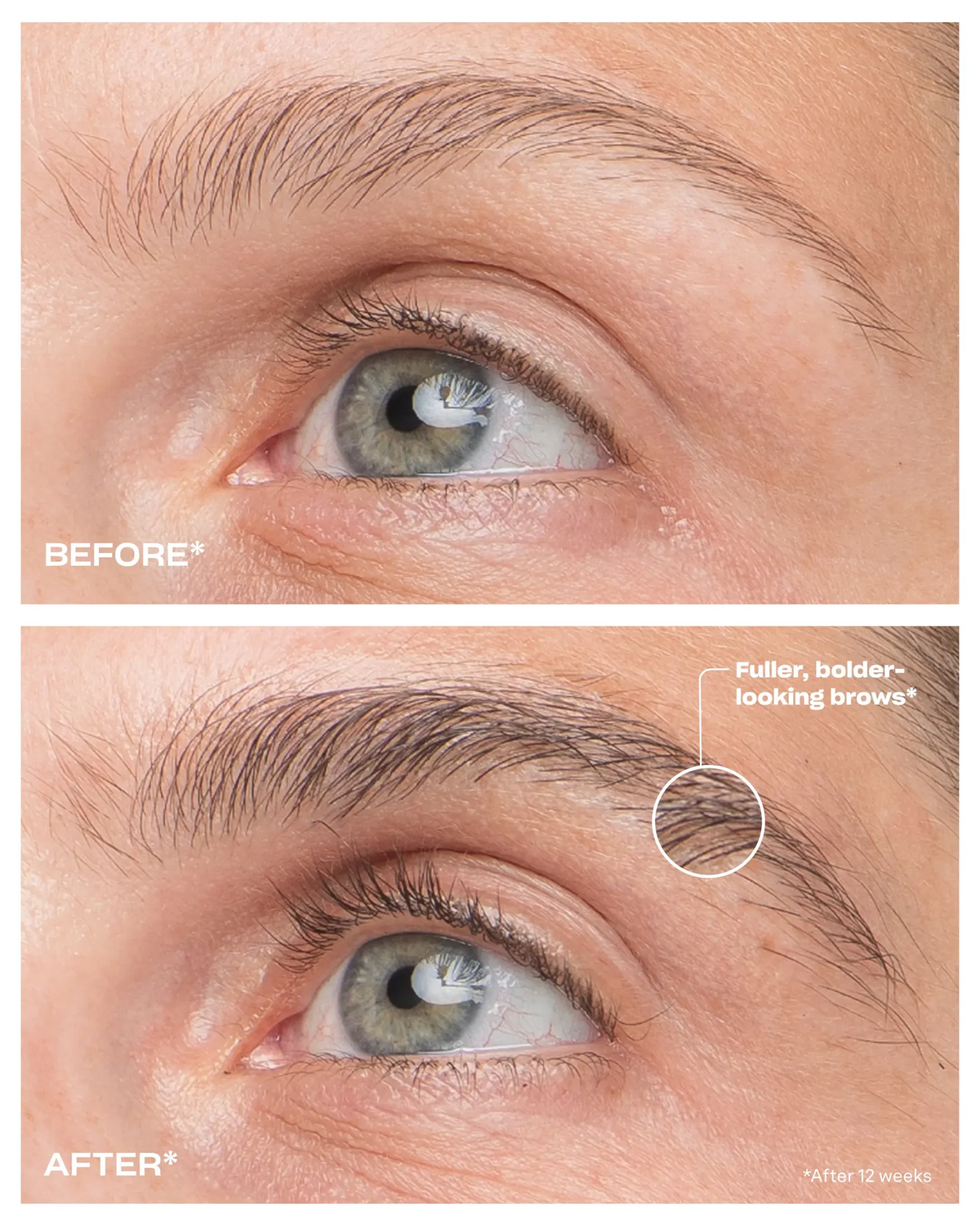 Essential Lash & Brow Builder Duo Regular price